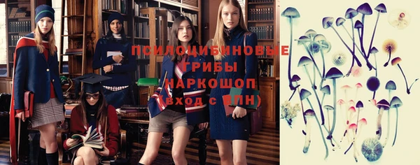 spice Алексеевка